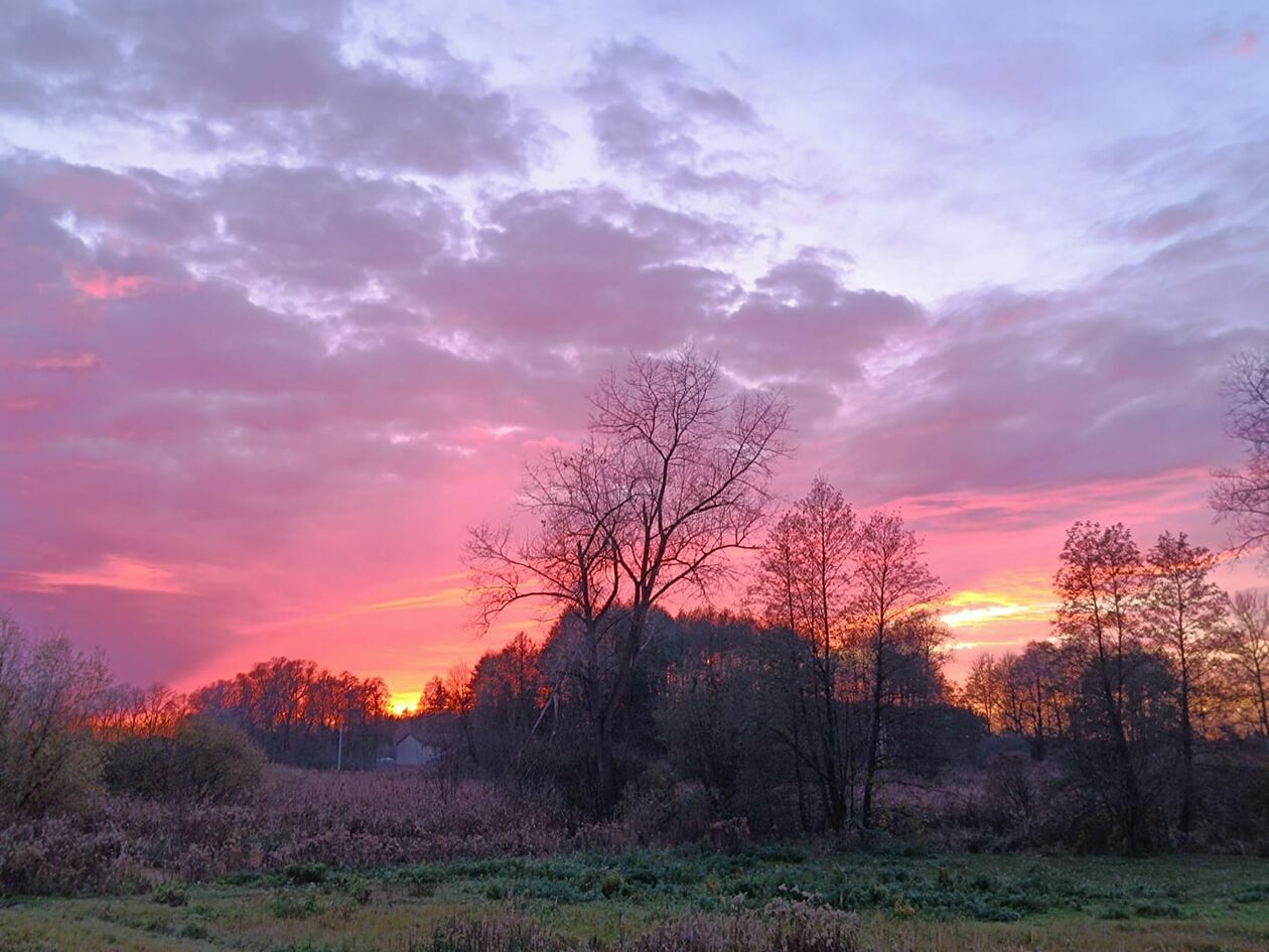  Listopadowy zachód słońca w obiektywie Czytelników Dziennika Wschodniego (zdjęcie 19) - Autor: Arkadiusz Adamski
