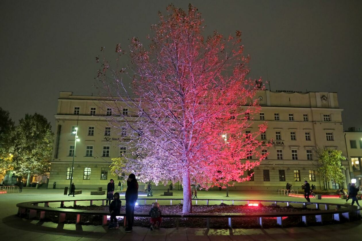  Święto Niepodległości. Biało-czerwony Lublin  (zdjęcie 6) - Autor: DW