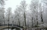 Zima w Parku Czartoryskich (zdjęcie 3)