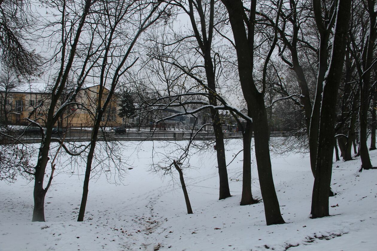  Zima w parku Radziwiłłowskim w Białej Podlaskiej  (zdjęcie 3) - Autor: Ewelina Burda