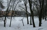 Zima w parku Radziwiłłowskim w Białej Podlaskiej  (zdjęcie 3)