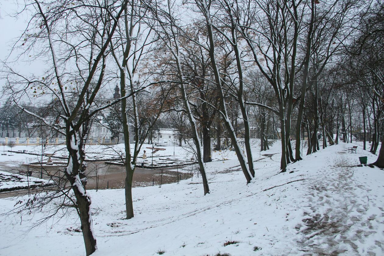  Zima w parku Radziwiłłowskim w Białej Podlaskiej  (zdjęcie 14) - Autor: Ewelina Burda