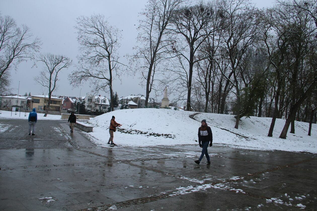 Zima w parku Radziwiłłowskim w Białej Podlaskiej  - Autor: Ewelina Burda