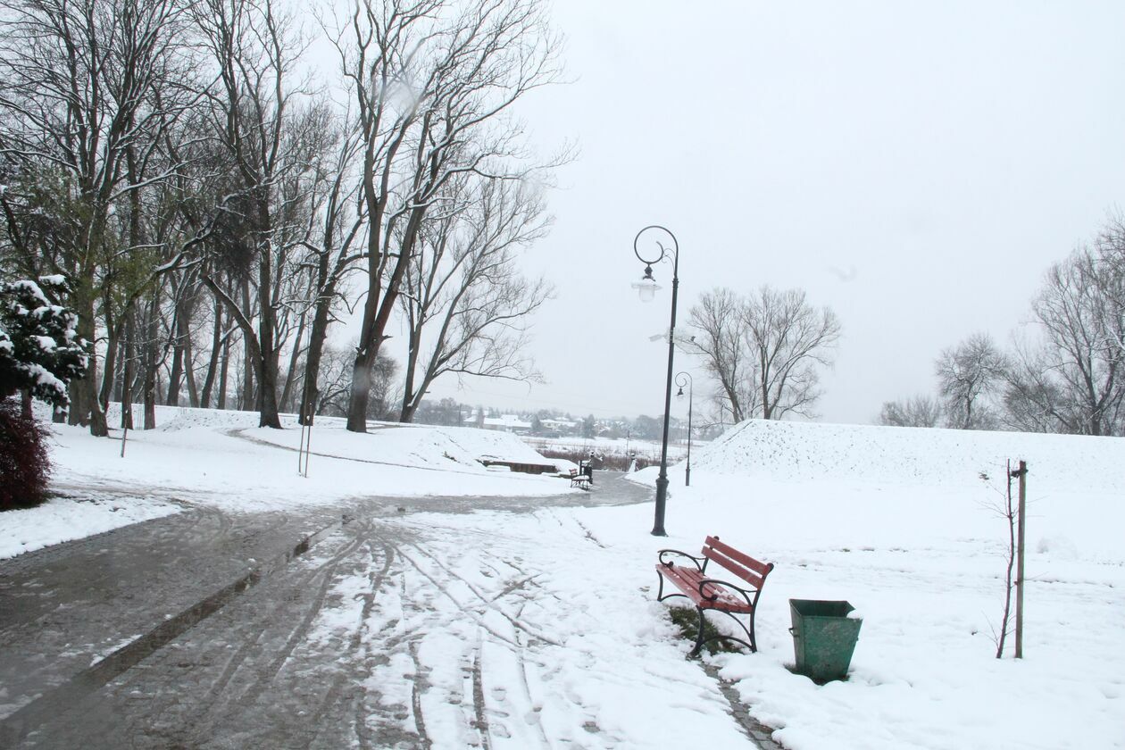  Zima w parku Radziwiłłowskim w Białej Podlaskiej  (zdjęcie 13) - Autor: Ewelina Burda
