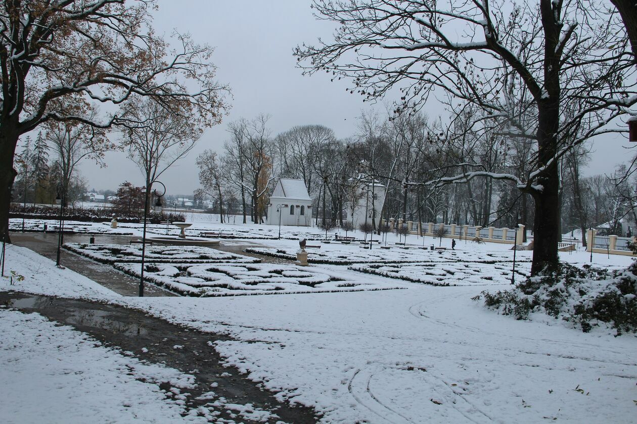 Zima w parku Radziwiłłowskim w Białej Podlaskiej  (zdjęcie 15) - Autor: Ewelina Burda