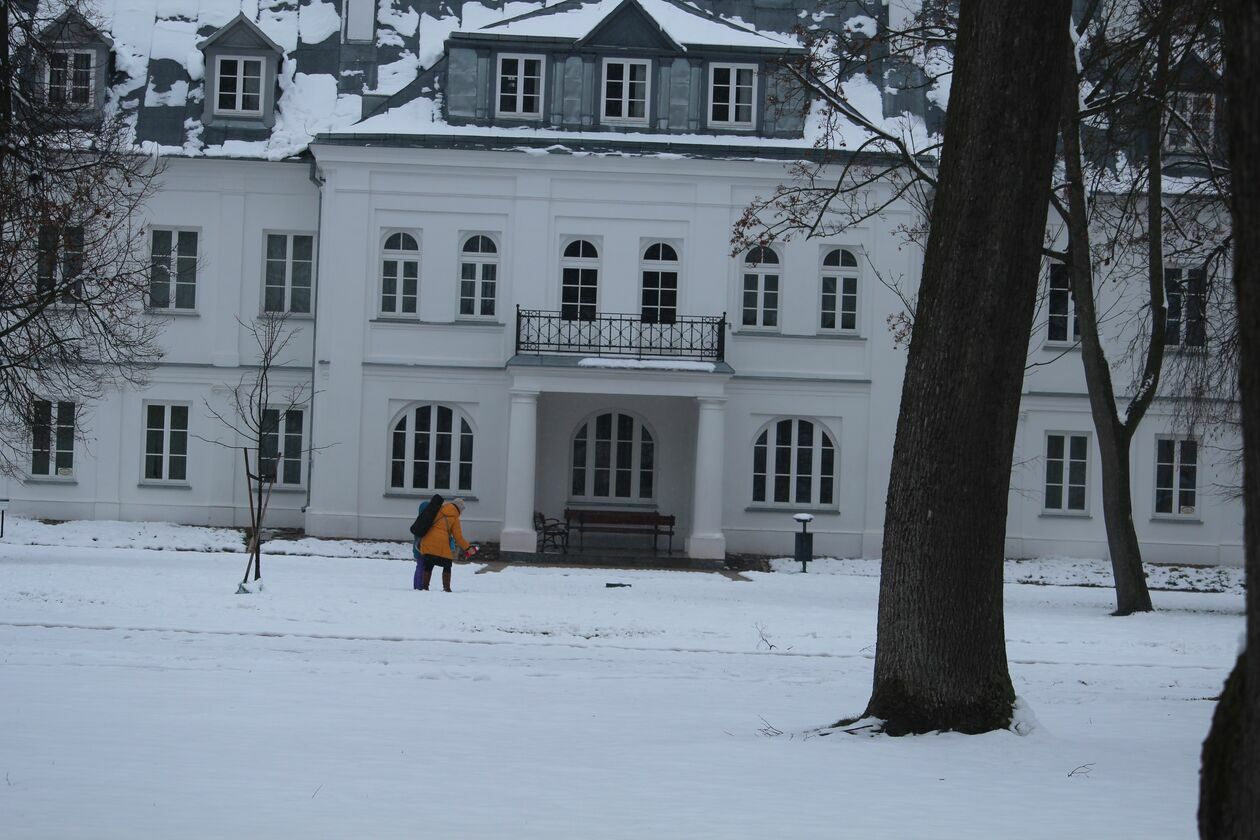  Zima w parku Radziwiłłowskim w Białej Podlaskiej  (zdjęcie 9) - Autor: Ewelina Burda