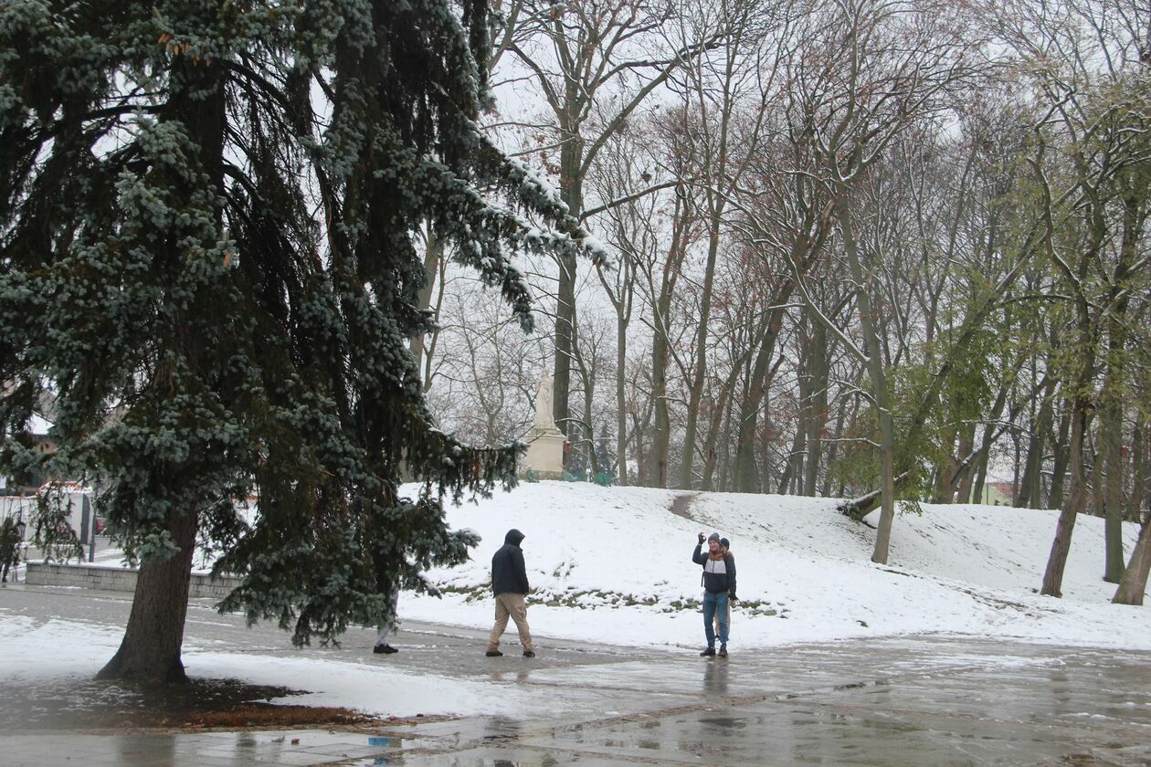  Zima w parku Radziwiłłowskim w Białej Podlaskiej  (zdjęcie 17) - Autor: Ewelina Burda