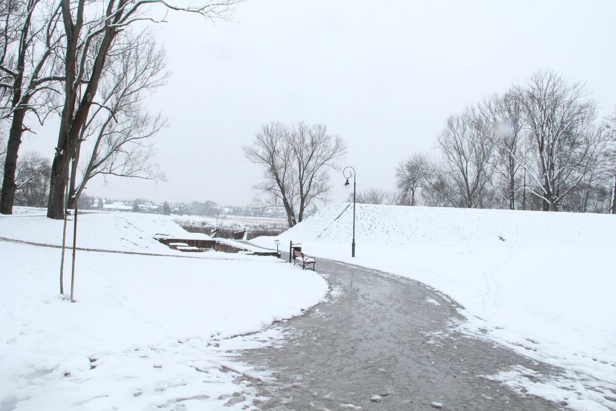  Zima w parku Radziwiłłowskim w Białej Podlaskiej  (zdjęcie 12) - Autor: Ewelina Burda