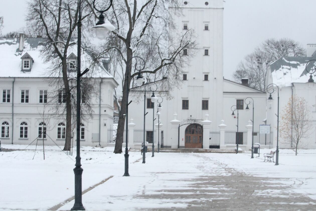  Zima w parku Radziwiłłowskim w Białej Podlaskiej  (zdjęcie 11) - Autor: Ewelina Burda