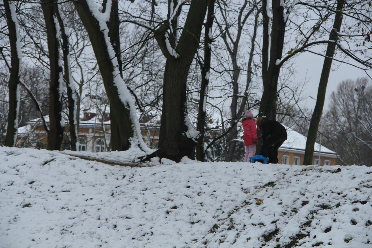  Zima w parku Radziwiłłowskim w Białej Podlaskiej  (zdjęcie 16) - Autor: Ewelina Burda