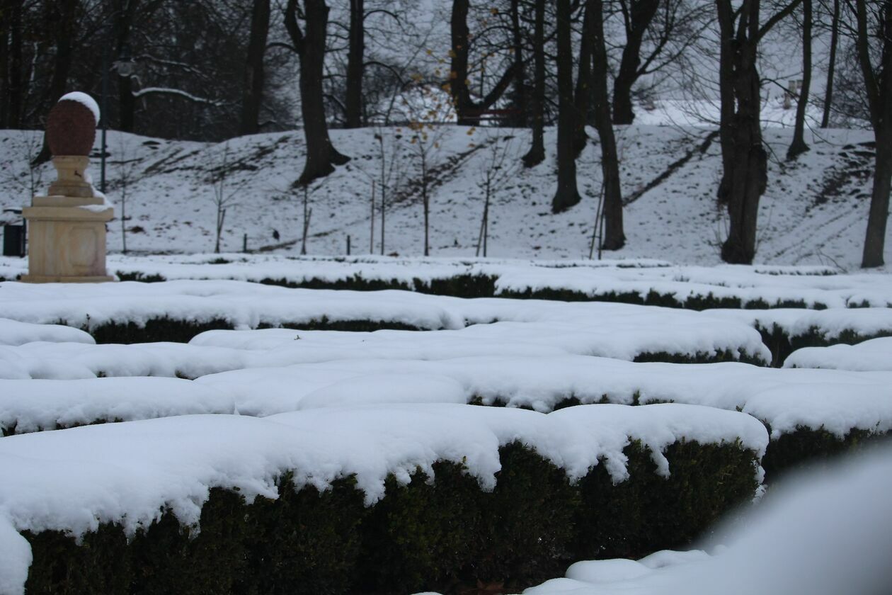  Zima w parku Radziwiłłowskim w Białej Podlaskiej  (zdjęcie 7) - Autor: Ewelina Burda