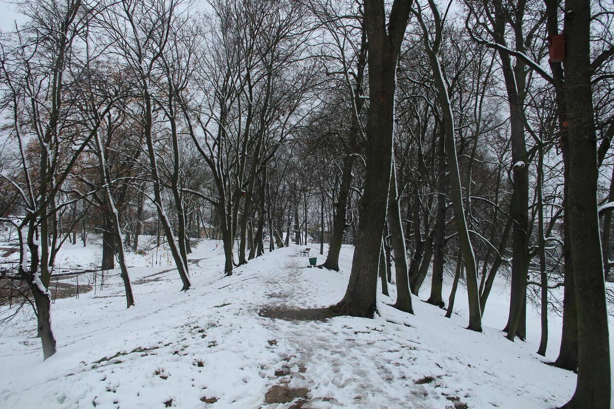  Zima w parku Radziwiłłowskim w Białej Podlaskiej  (zdjęcie 5) - Autor: Ewelina Burda