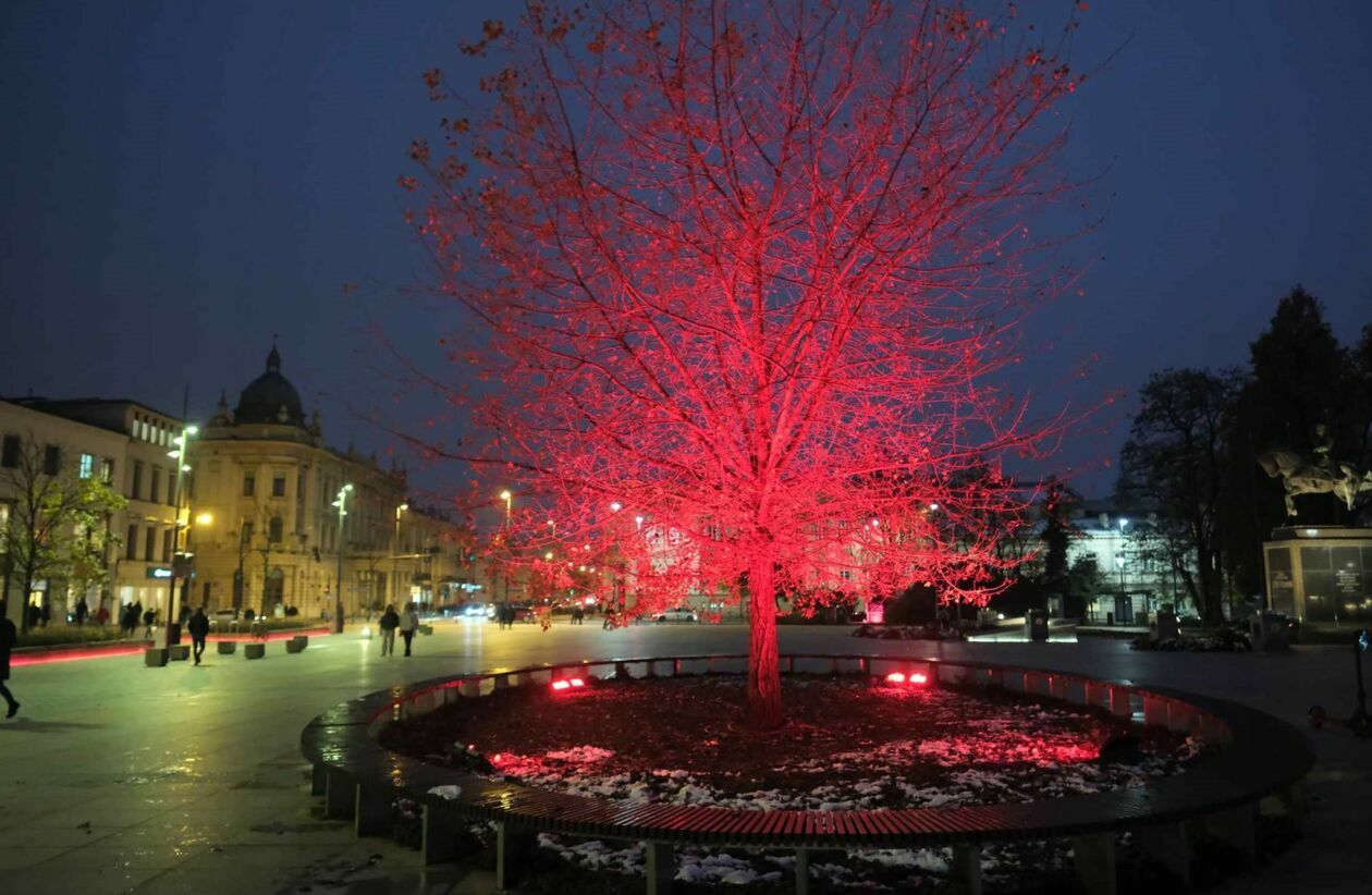  Lublin na czerwono (zdjęcie 3) - Autor: DW