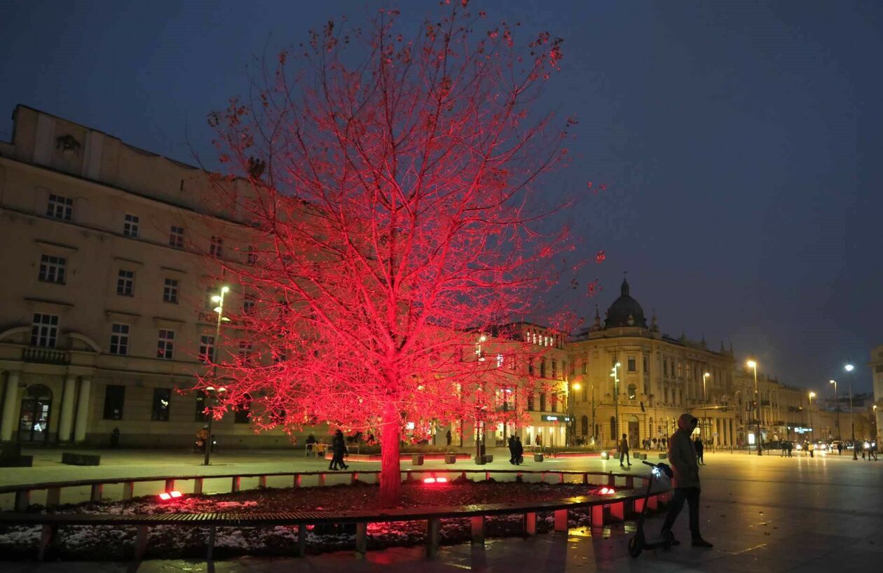  Lublin na czerwono (zdjęcie 5) - Autor: DW