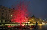 Lublin na czerwono (zdjęcie 5)