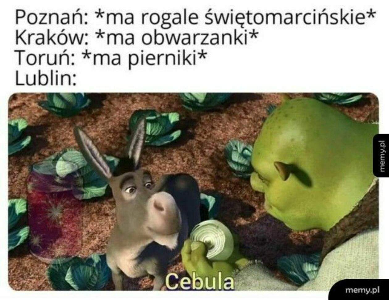  Lubelskie memy (zdjęcie 6) - Autor: Internet