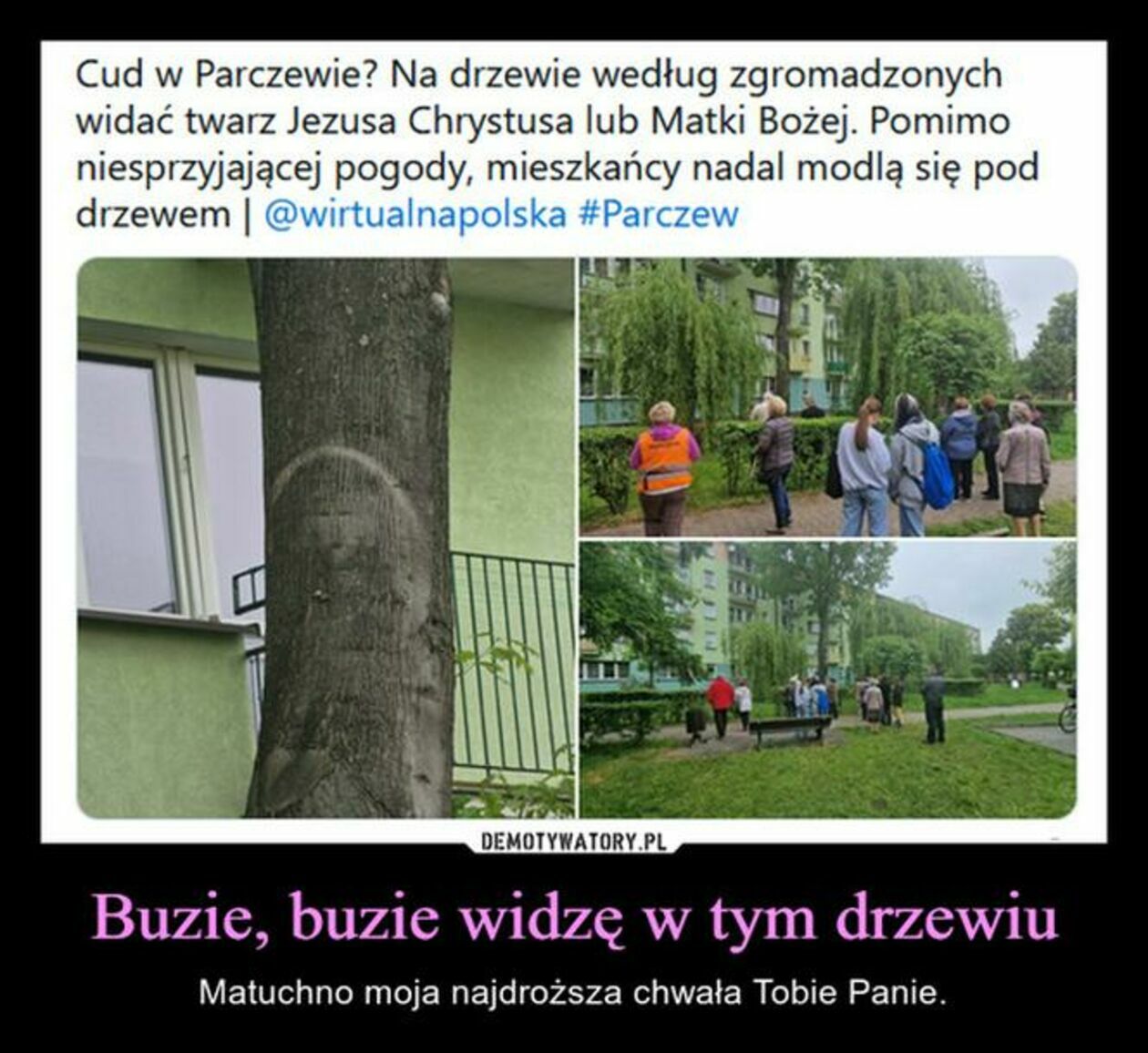  Lubelskie memy (zdjęcie 17) - Autor: Internet