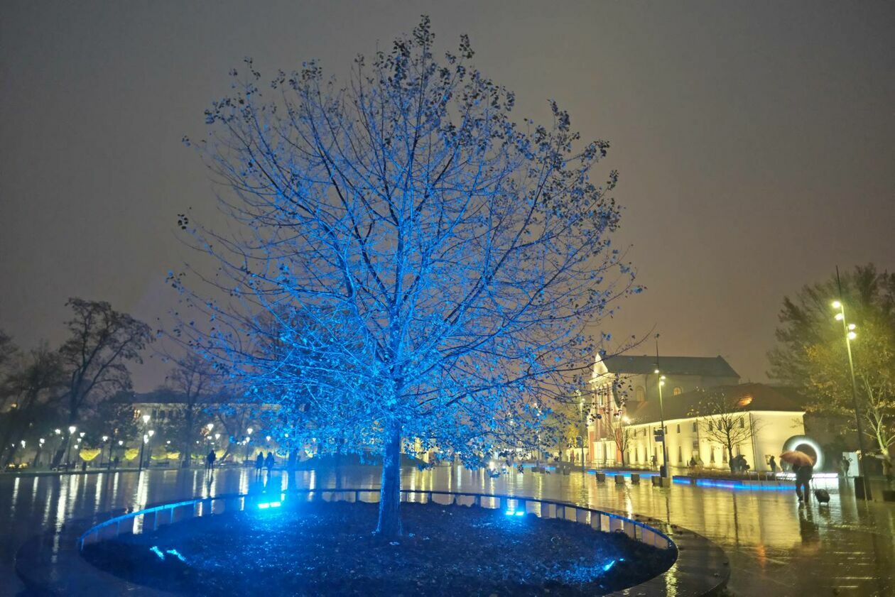  Plac Litewski na niebiesko (zdjęcie 3) - Autor: DW