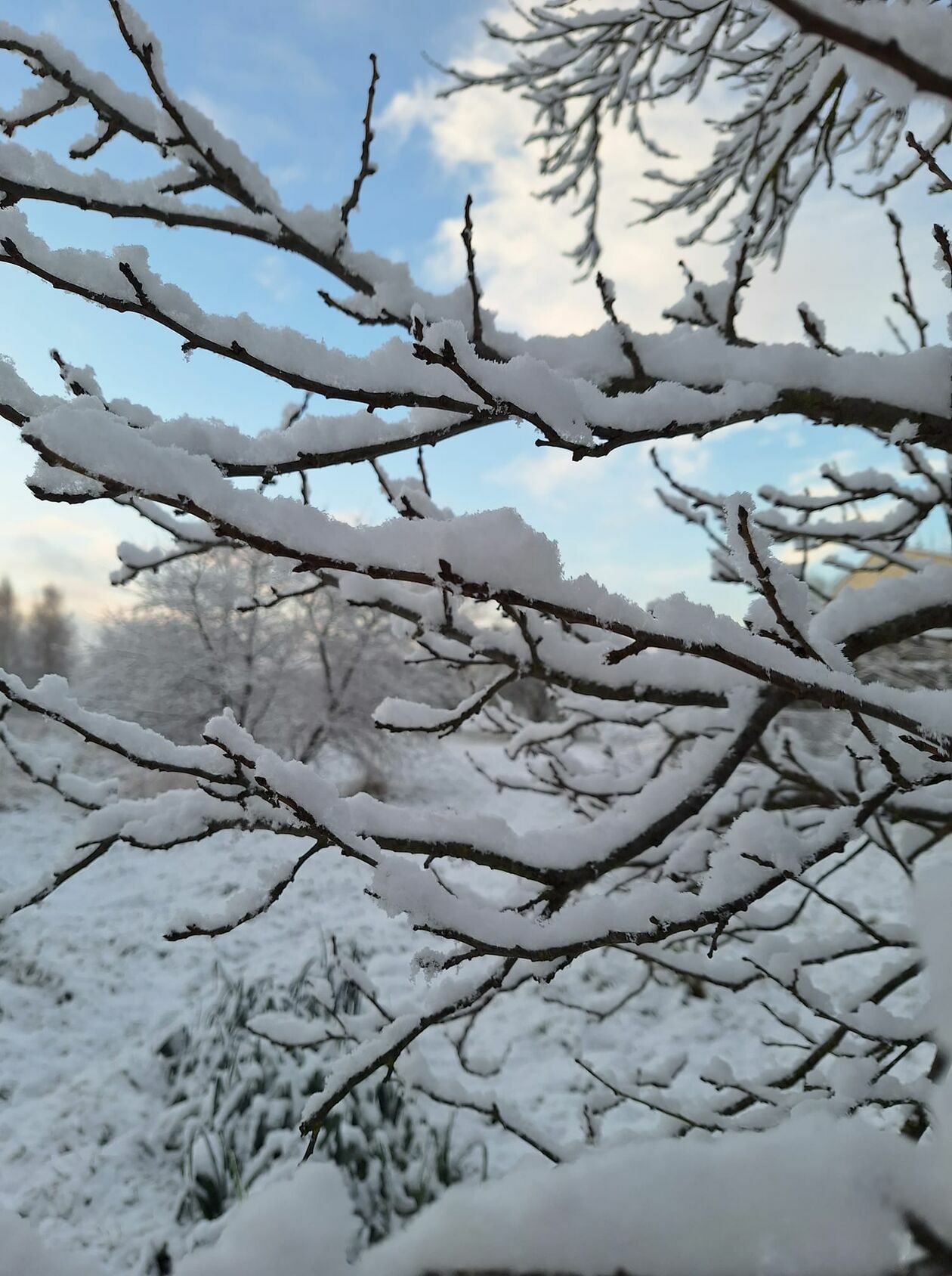  Zima naszych czytelników (zdjęcie 13) - Autor: czytelnicy