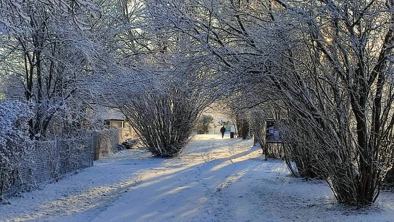  Zima naszych czytelników (zdjęcie 16) - Autor: czytelnicy