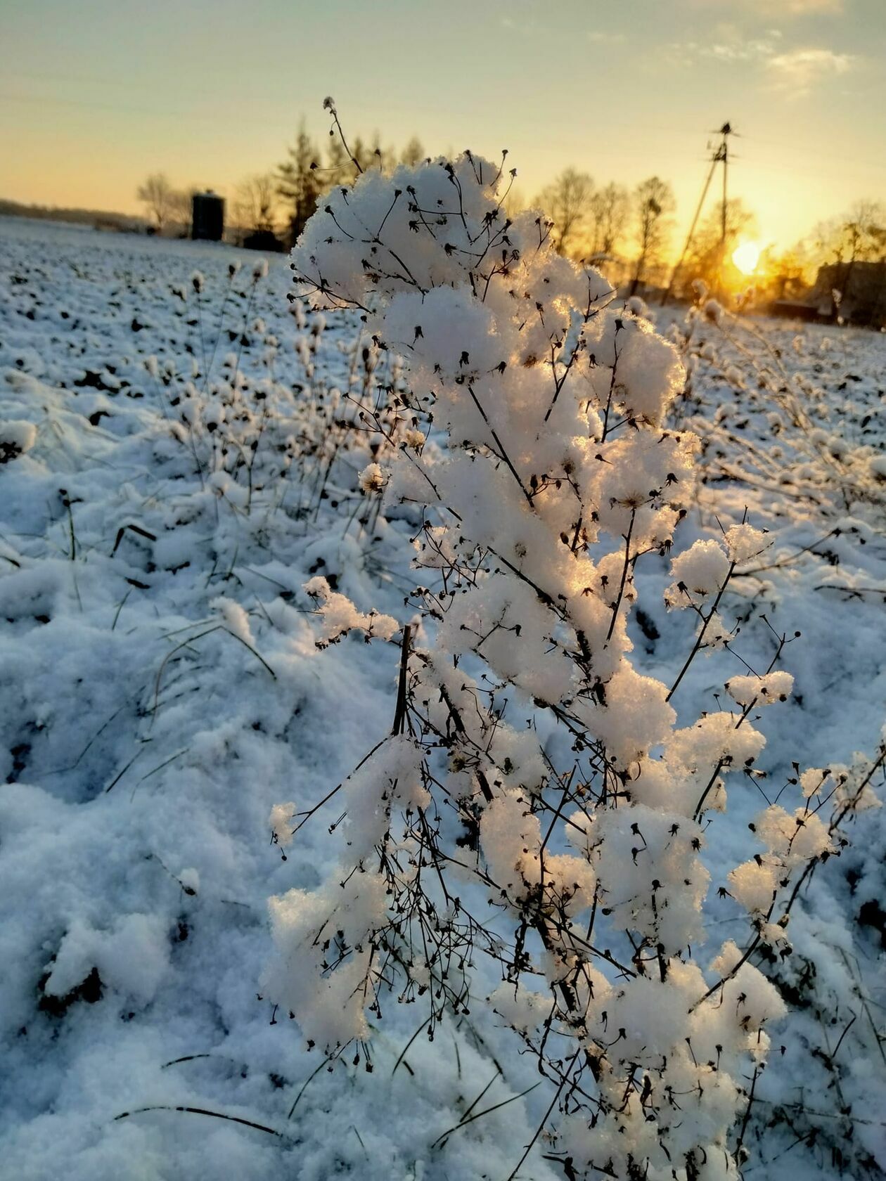  Zima naszych czytelników  - Autor: czytelnicy