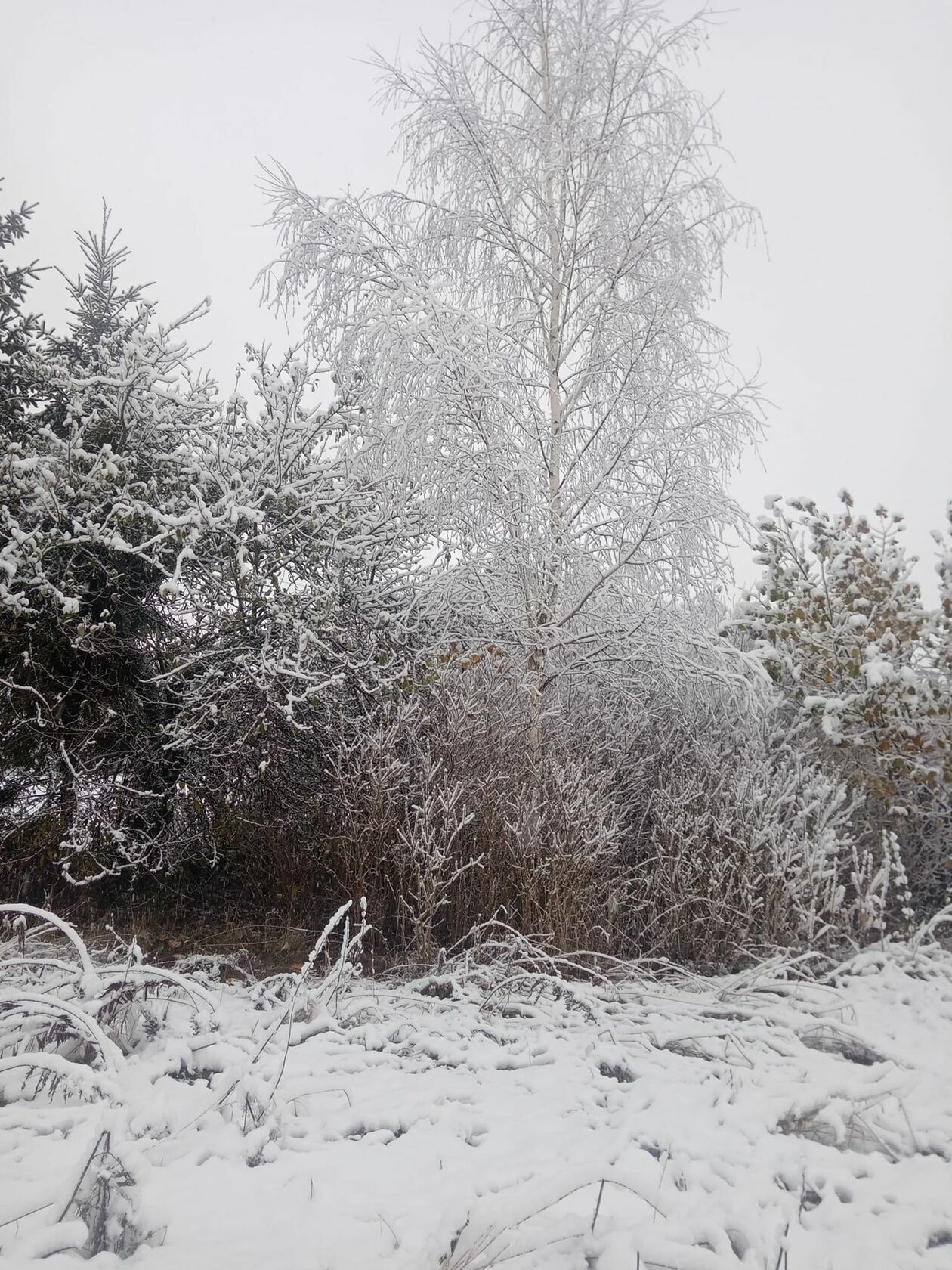  Zima naszych czytelników (zdjęcie 7) - Autor: czytelnicy