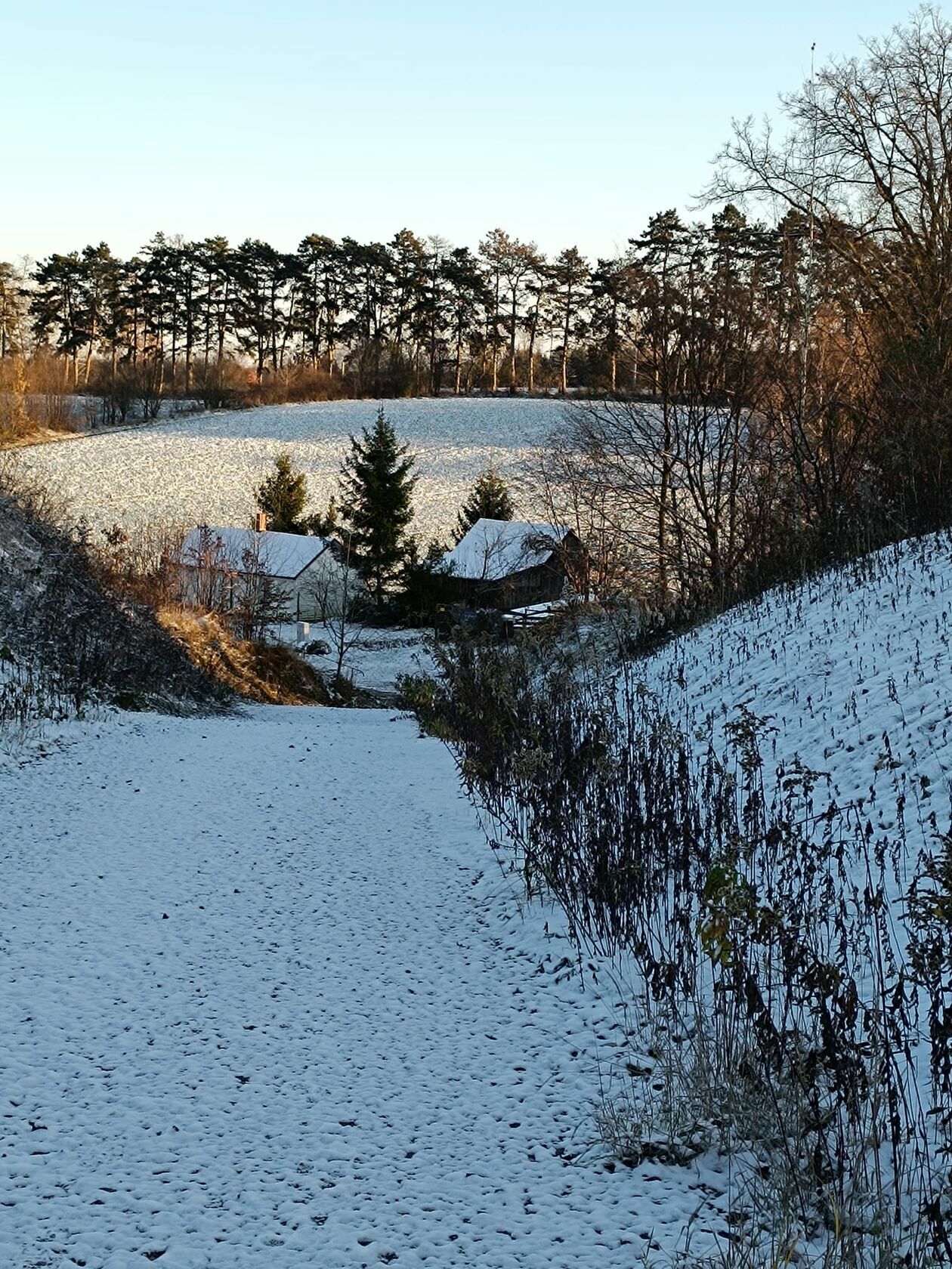  Zima naszych czytelników (zdjęcie 5) - Autor: czytelnicy