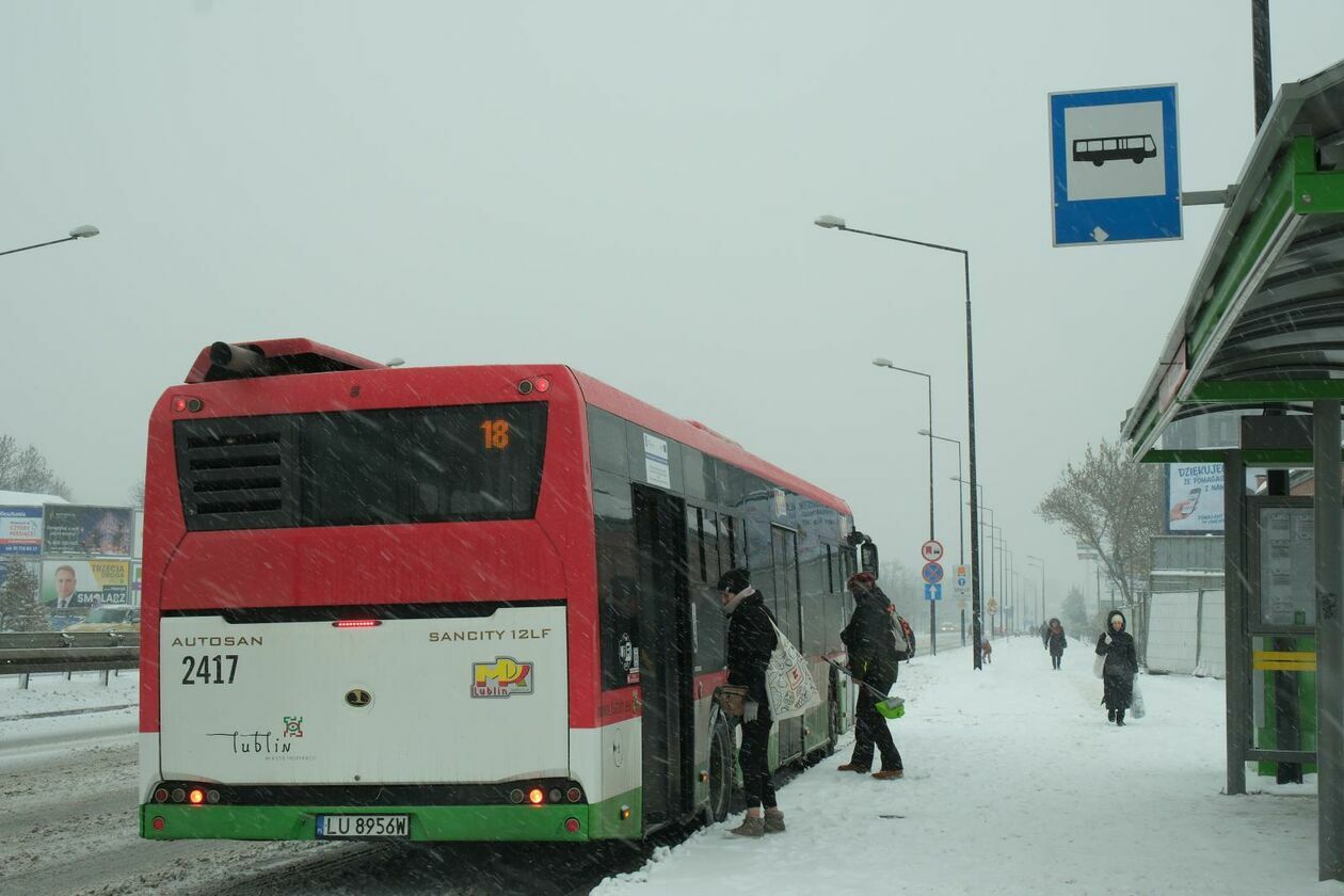  Atak zimy w Lublinie (zdjęcie 11) - Autor: DW