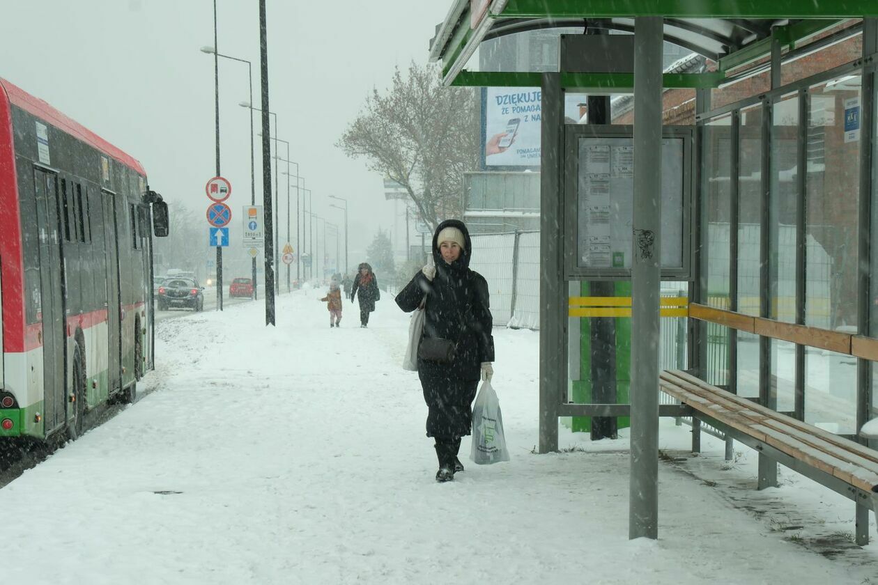  Atak zimy w Lublinie (zdjęcie 10) - Autor: DW