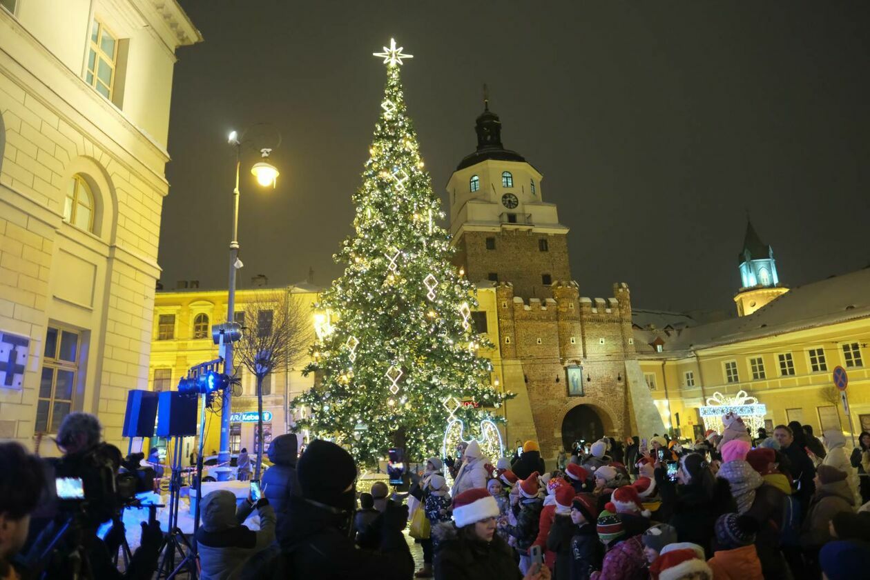  Choinka i świateczne ozdoby już rozświetlają deptak i Stare Miasto (zdjęcie 17) - Autor: DW