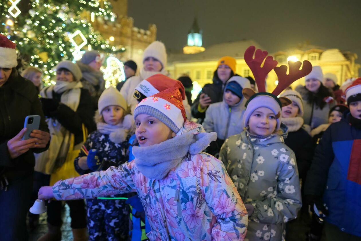  Choinka i świateczne ozdoby już rozświetlają deptak i Stare Miasto (zdjęcie 21) - Autor: DW