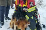 Strażacy uratowali psiaka (zdjęcie 4)