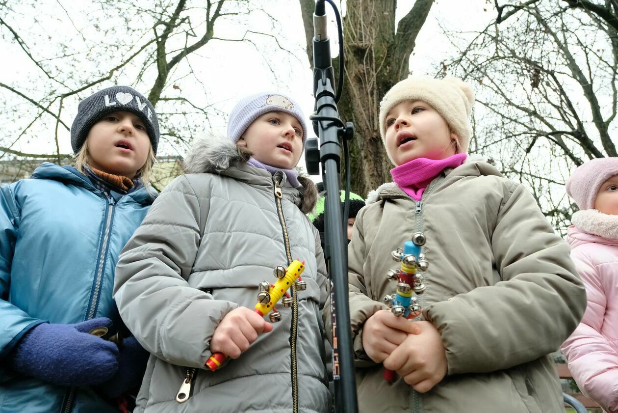 Żywa choinka na LSM już przystrojona