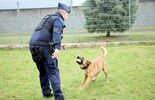 Psy policjanci Borys I Hugo (zdjęcie 5)