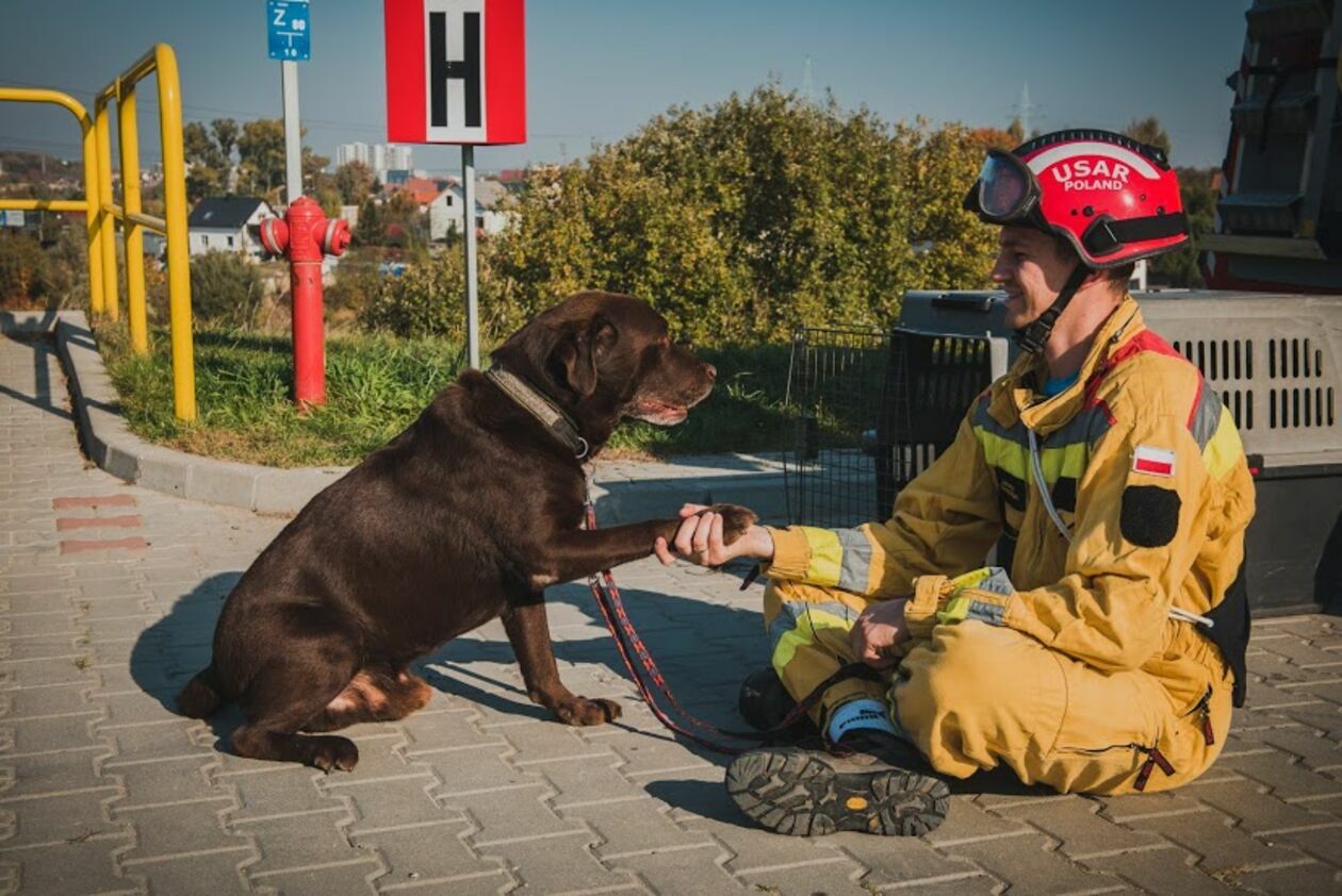 Psy w Straży Pożarnej