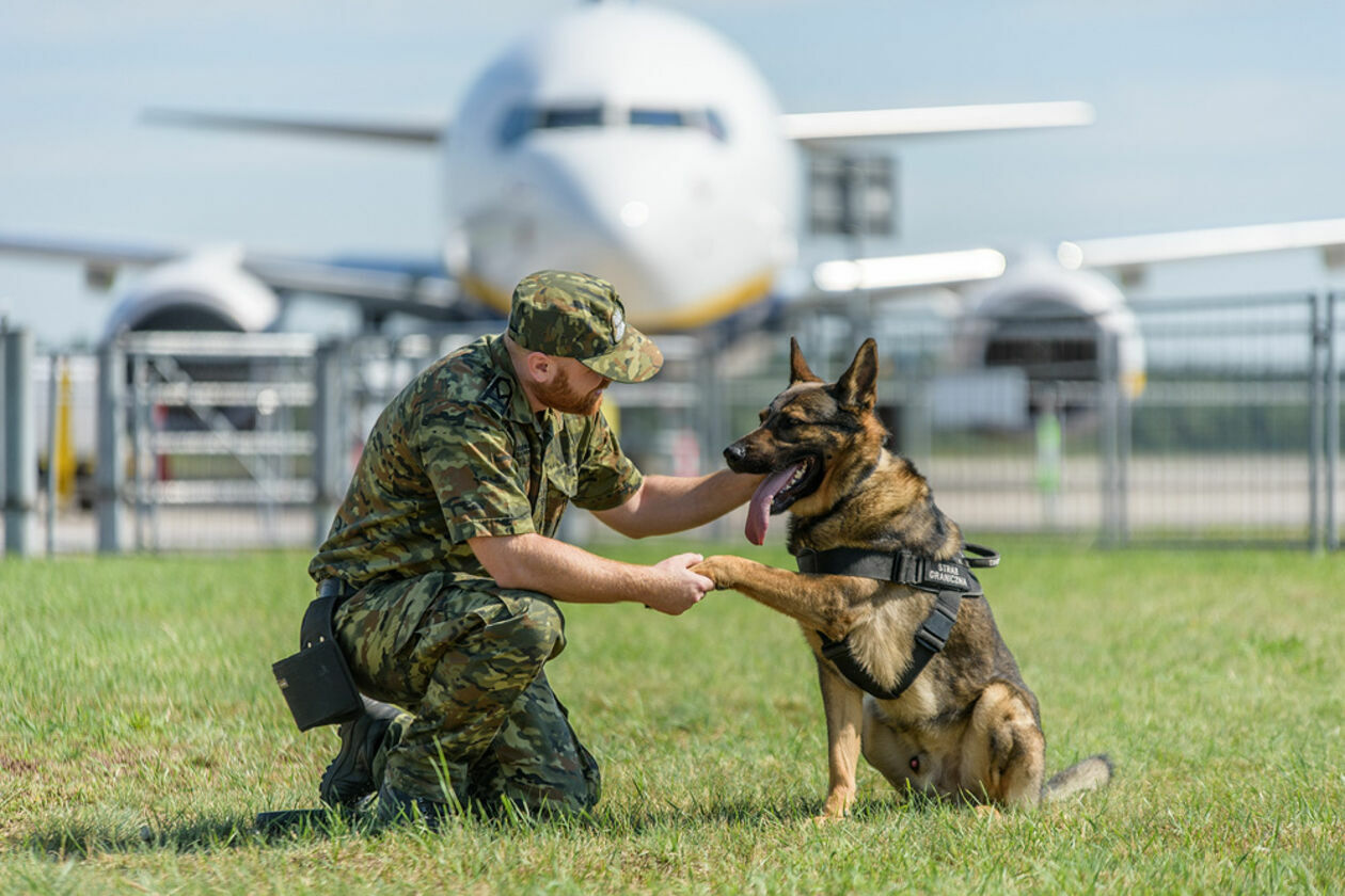  Psy w Straży Granicznej (zdjęcie 1) - Autor: Straż Graniczna