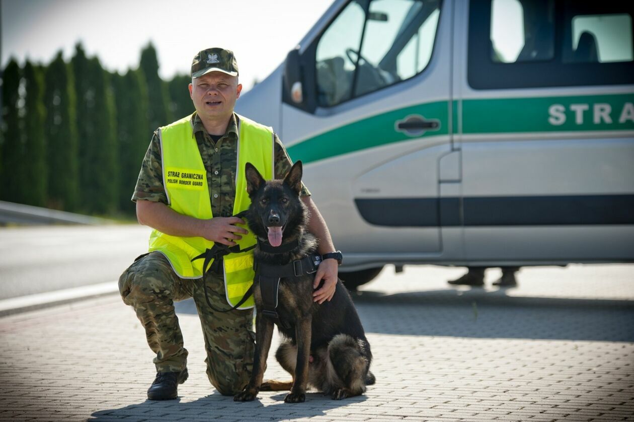  Psy w Straży Granicznej (zdjęcie 9) - Autor: Straż Graniczna