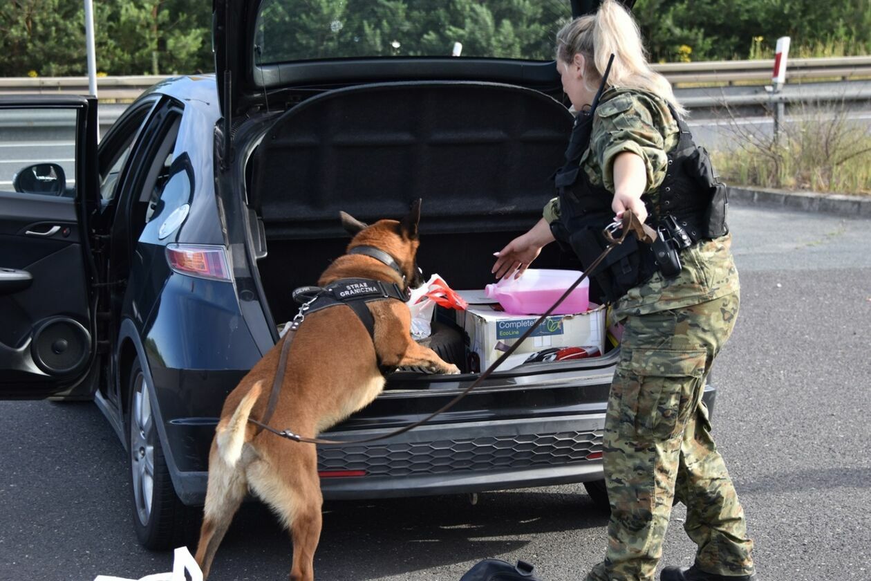  Psy w Straży Granicznej (zdjęcie 6) - Autor: Straż Graniczna