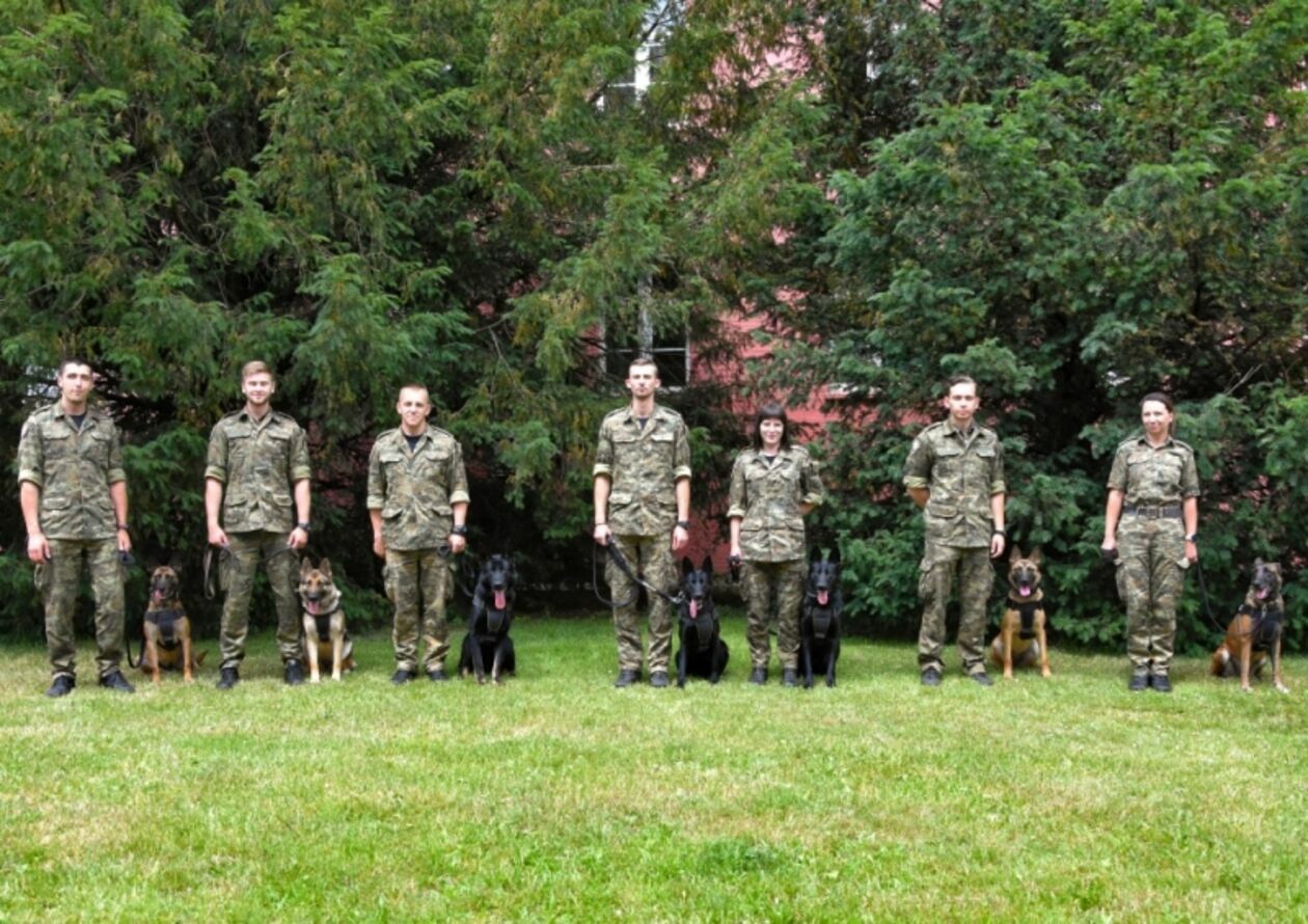 Psy w Straży Granicznej