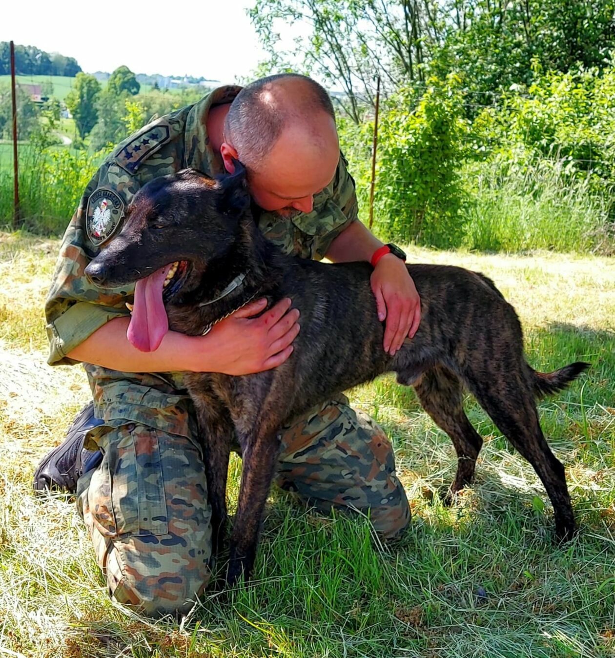  Psy w Straży Granicznej (zdjęcie 5) - Autor: Straż Graniczna