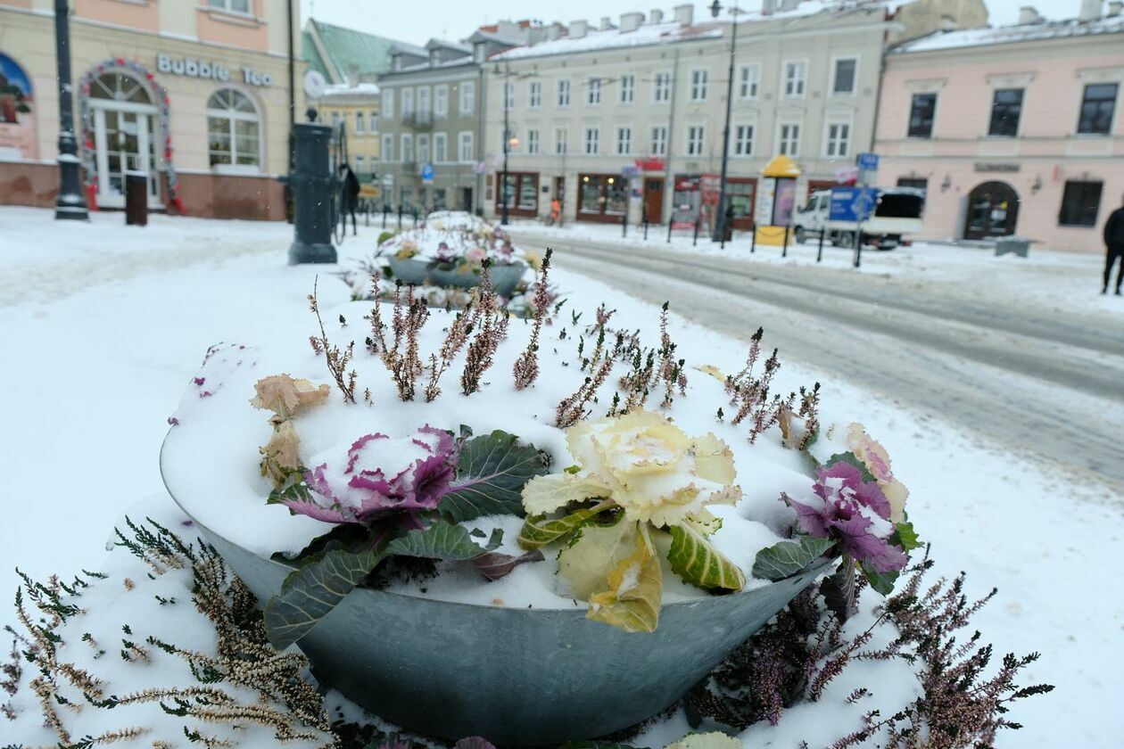  Lublin znowu pod śniegiem (zdjęcie 20) - Autor: DW