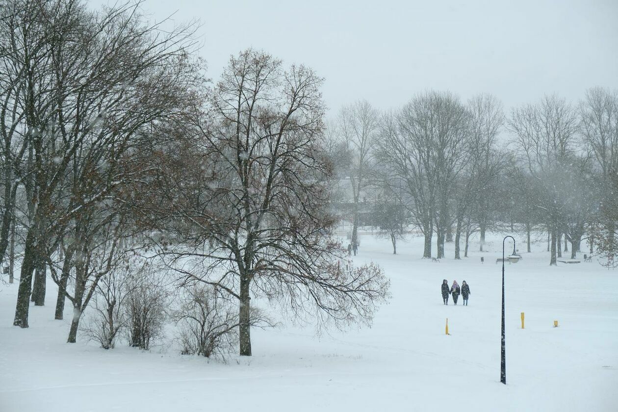  Lublin znowu pod śniegiem (zdjęcie 9) - Autor: DW