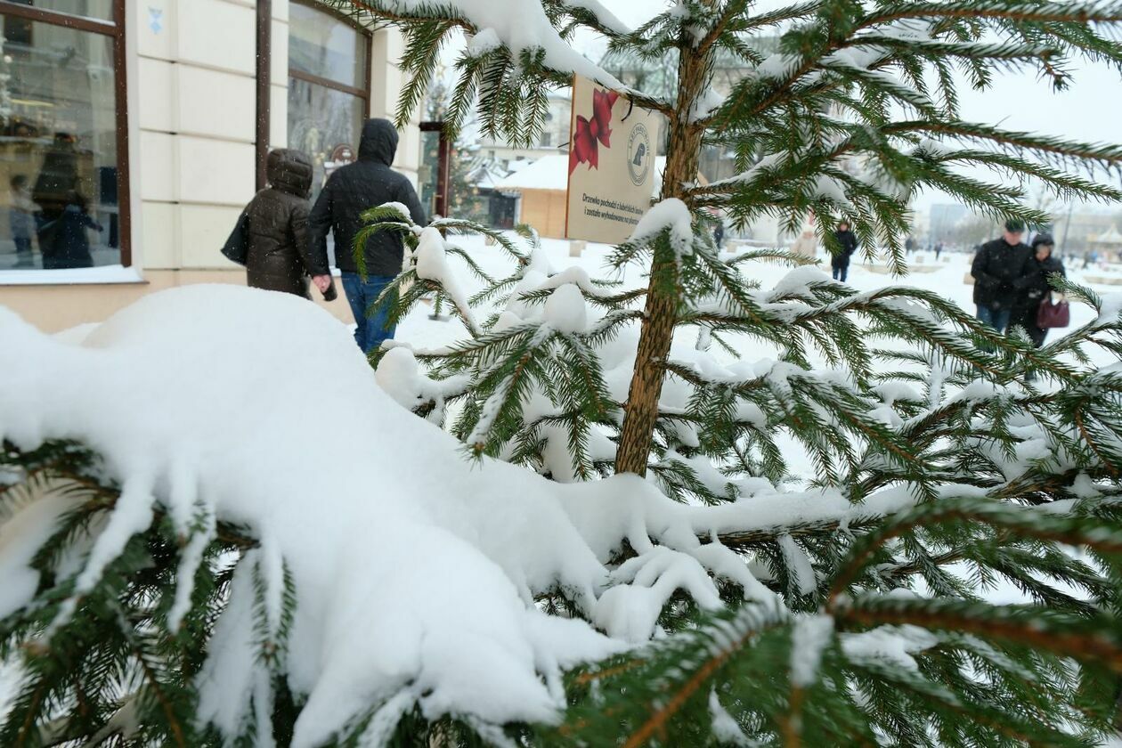  Lublin znowu pod śniegiem (zdjęcie 23) - Autor: DW