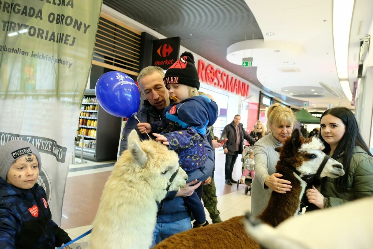  Finał WOŚP w Lublinie (zdjęcie 40) - Autor: DW