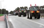Rolnicy protestują w Puławach (zdjęcie 3)