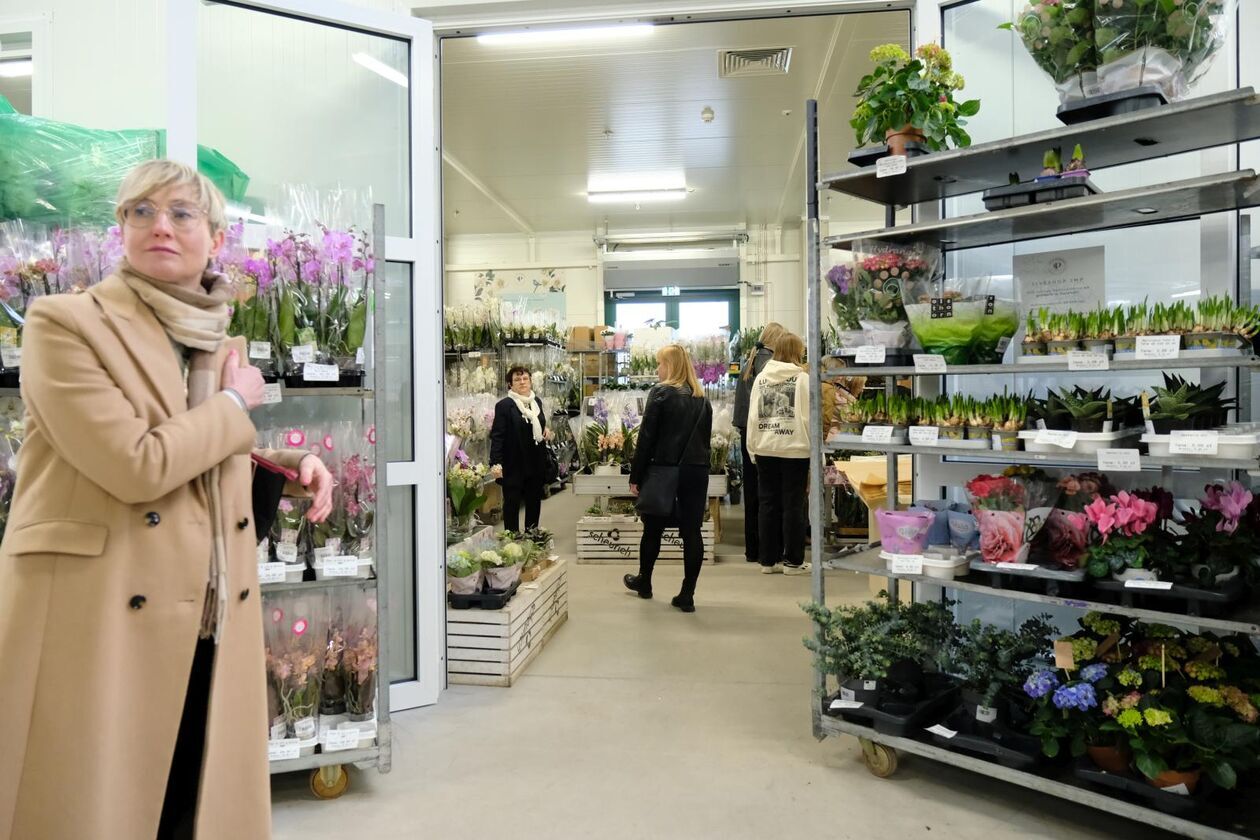  Pokaz Florystyczny w hali kwiatowej B2 Lubelskiego Rynku Hurtowego S.A.  (zdjęcie 14) - Autor: DW