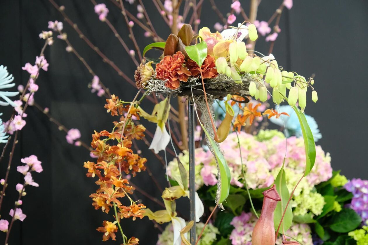  Pokaz Florystyczny w hali kwiatowej B2 Lubelskiego Rynku Hurtowego S.A.  (zdjęcie 6) - Autor: DW