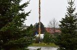 13-metrowa palma stanęła przed kościołem pw. Św. Kingi w Świdniku (zdjęcie 3)
