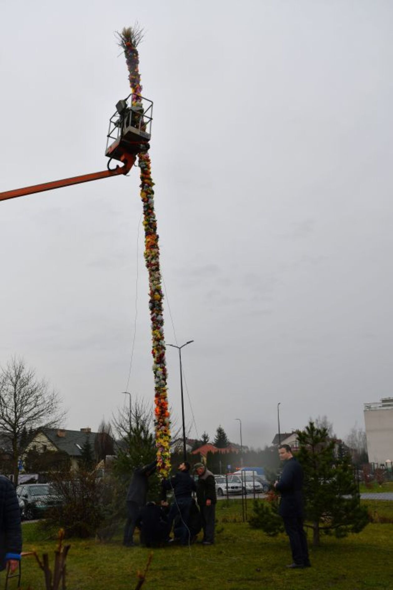  13-metrowa palma stanęła przed kościołem pw. Św. Kingi w Świdniku (zdjęcie 5) - Autor: Świdnik Wysokich Lotów