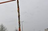 13-metrowa palma stanęła przed kościołem pw. Św. Kingi w Świdniku (zdjęcie 5)